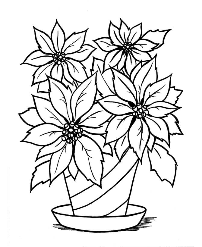 Desenhos de Vaso de Flores de Poinsétia para colorir