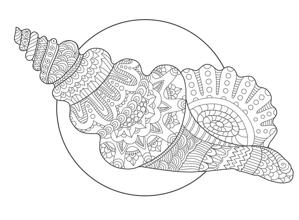 Desenhos de Vetor de Concha do Mar para colorir