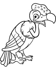 Desenhos de Condor Feliz para colorir