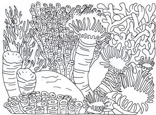 Desenhos de Coral Duro para colorir