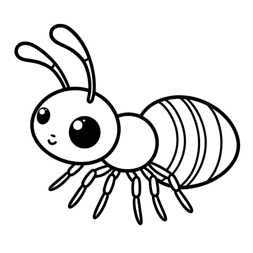 Desenhos de Desenhar Formiga básico para colorir