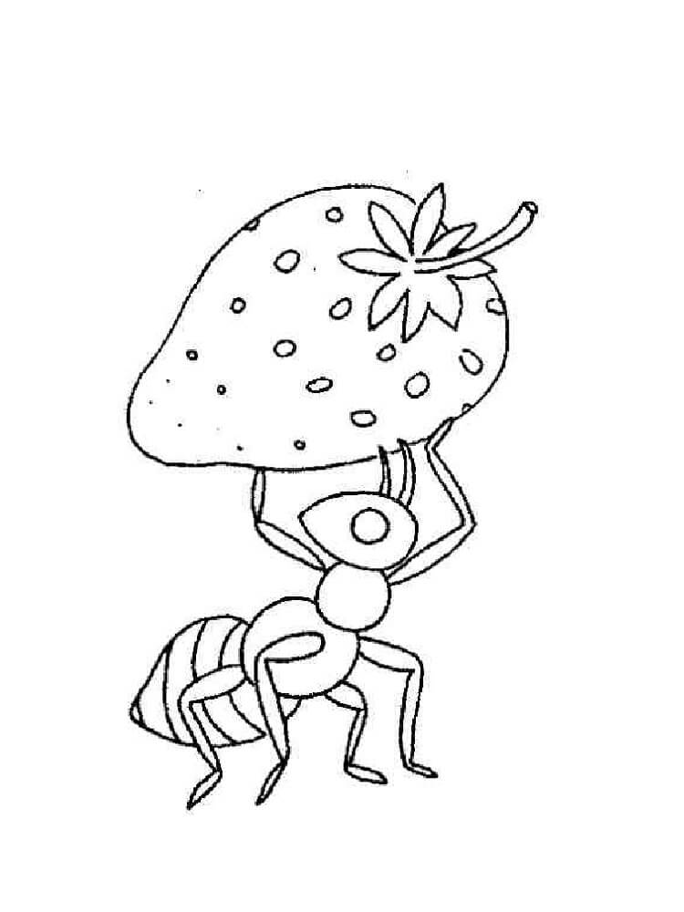 Desenhos de Desenhar Formiga impressão gratuita para colorir