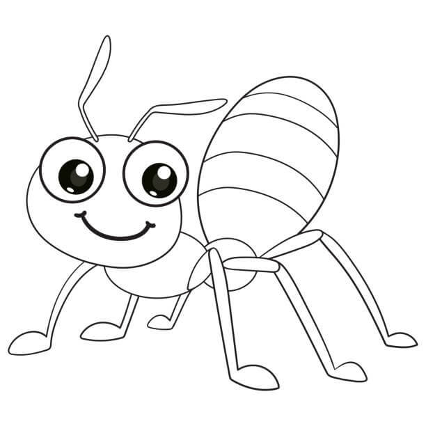 Desenhos de Desenhar Formiga impressão para colorir