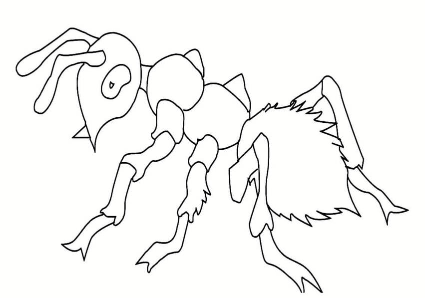 Desenhos de Desenhar Formiga simples para colorir