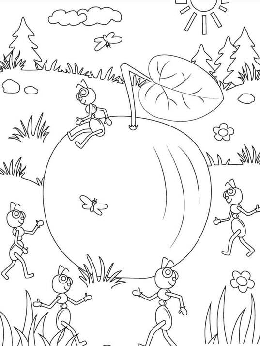 Desenhos de Formiga 5 para colorir