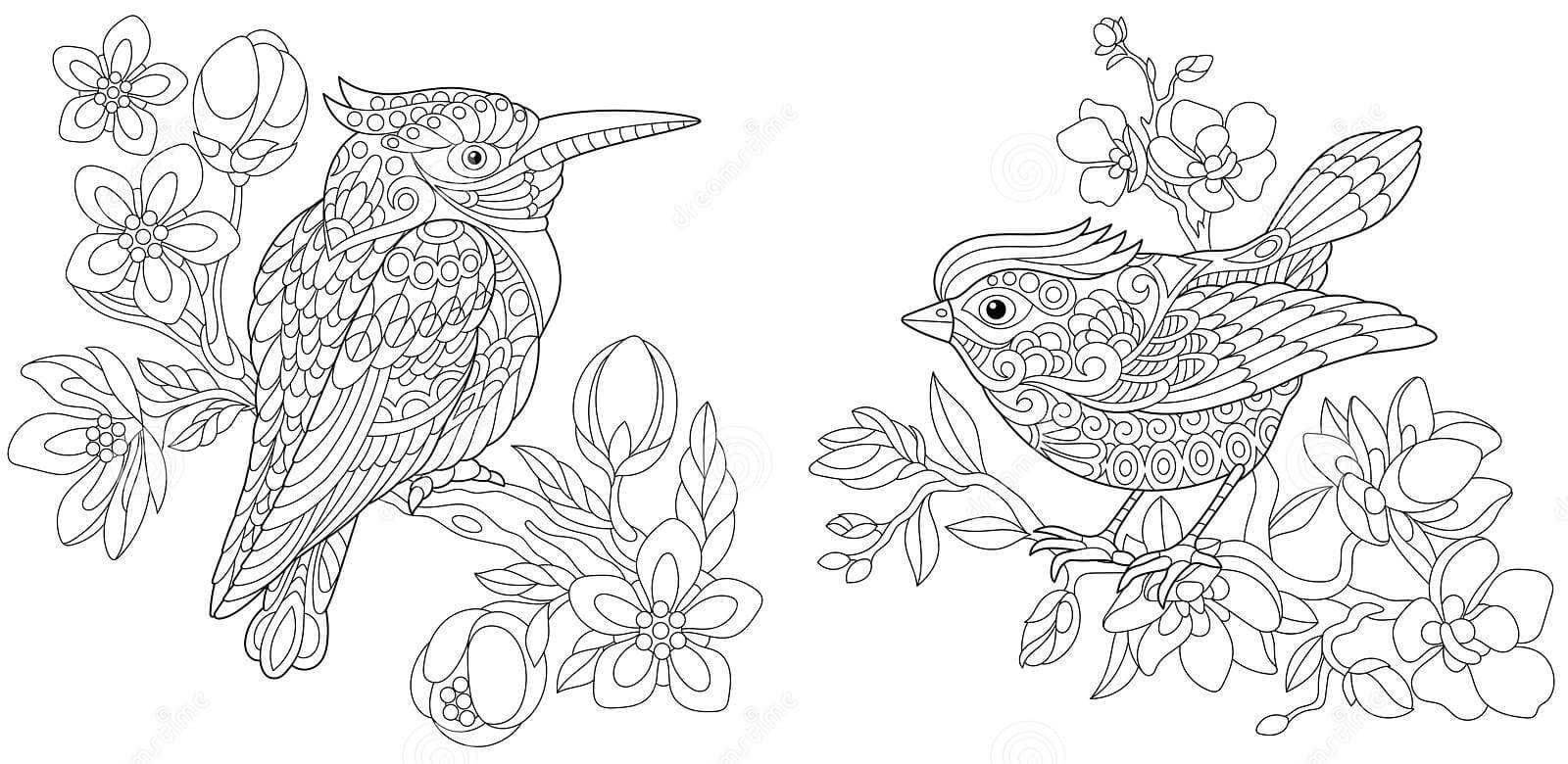 Desenhos de Canário para Adultos para colorir