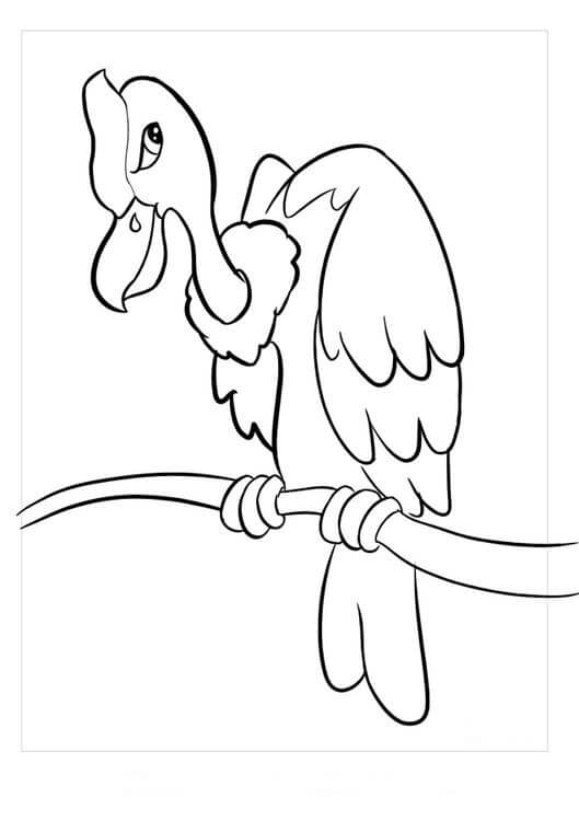 Condor de Desenho Animado para colorir