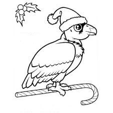 Desenhos de Condor no Natal para colorir