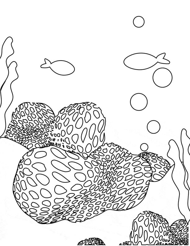Desenhos de Coral para Impressão para colorir