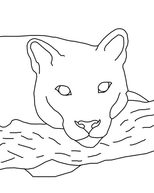 Desenho de Rosto de Puma para colorir
