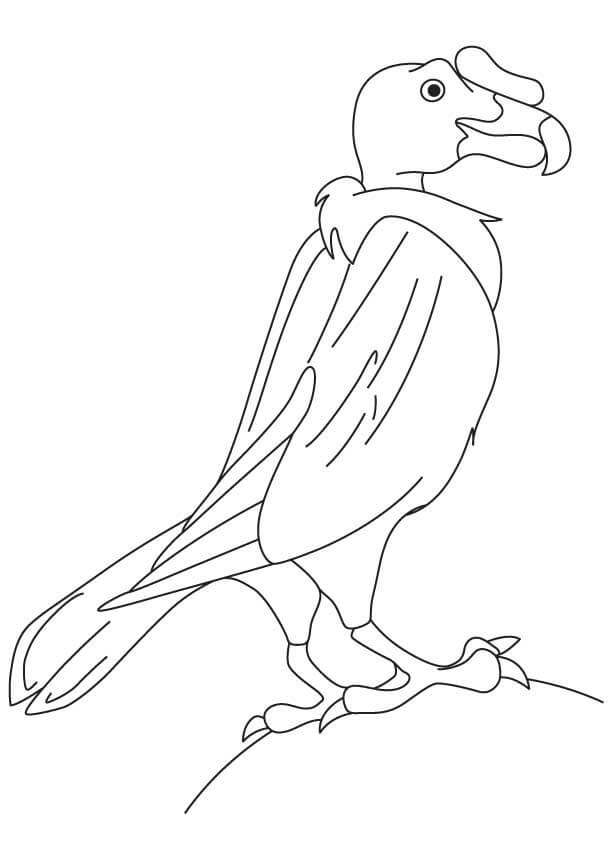 Desenhos de Doce Condor para colorir