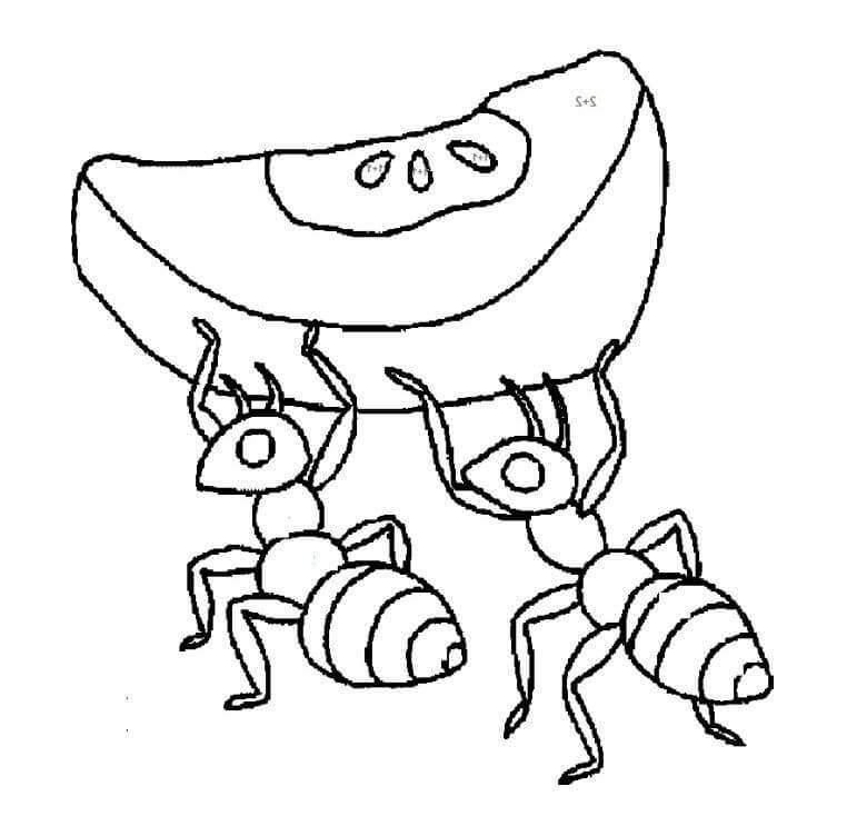 Desenhos de Duas Formigas Segurando Maçã para colorir