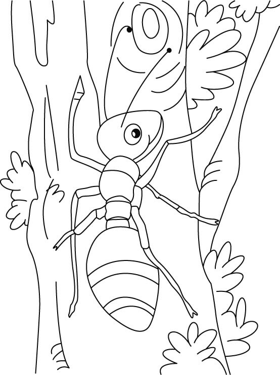 Desenhos de Escalada de Formigas para colorir