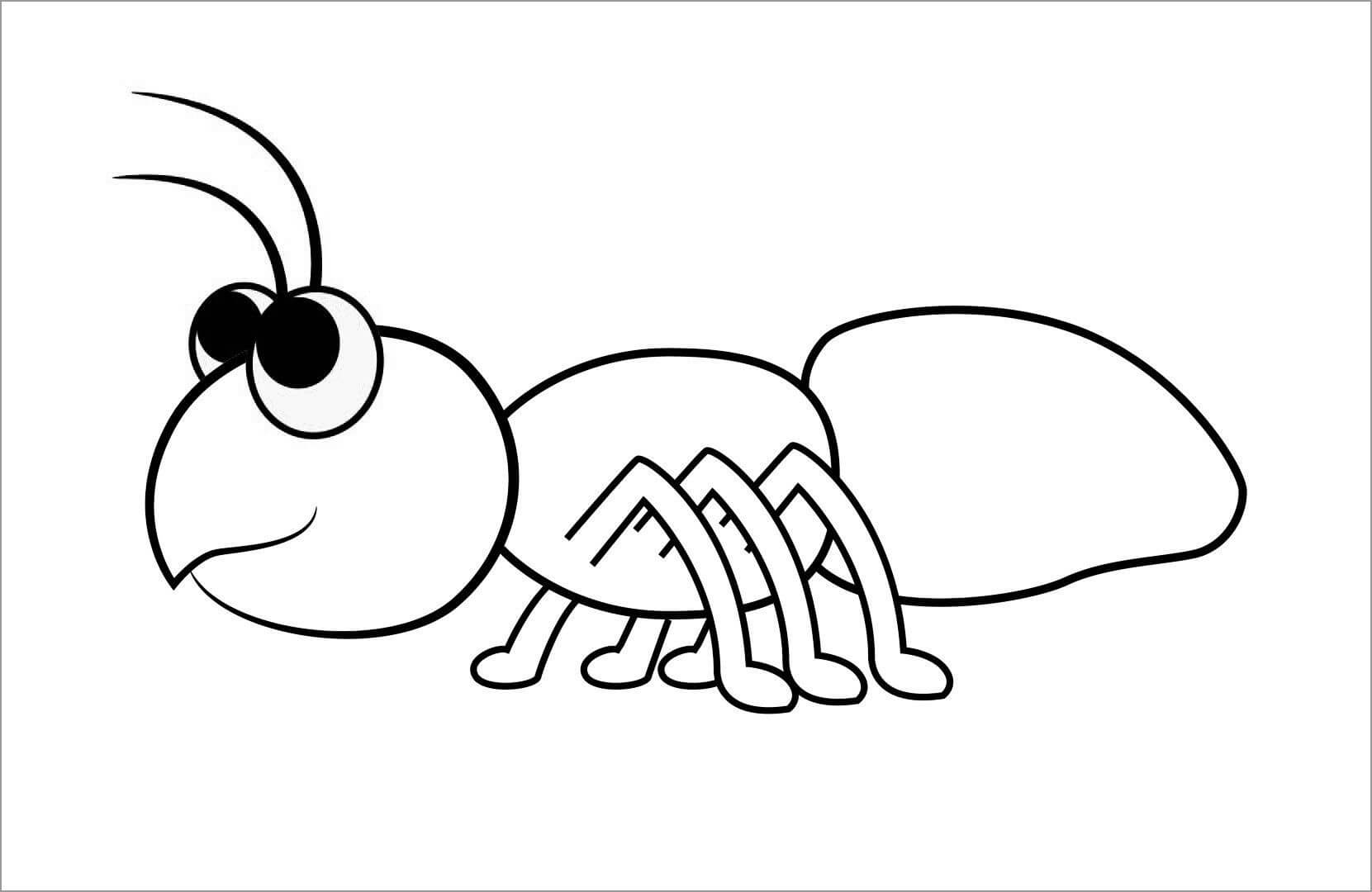 Desenhos de Formiga Básica para colorir
