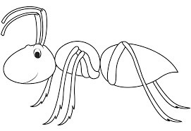 Desenhos de Formiga Sorridente para colorir