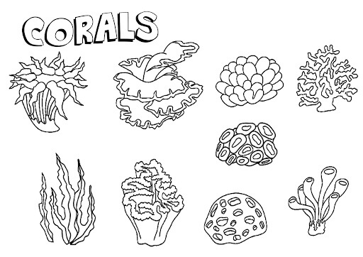 Desenhos de Nove Corais para colorir