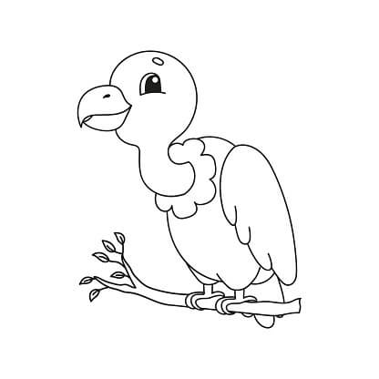 Little Condor para colorir