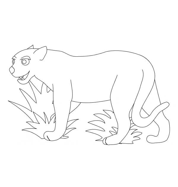 Desenhos de Puma Engraçada para colorir