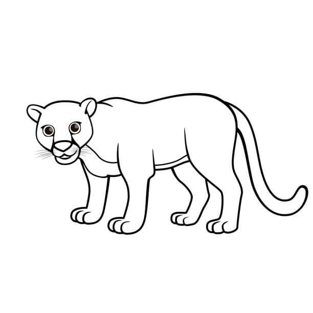 Desenhos de Puma Fofa para colorir