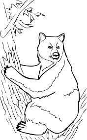 Desenhos de Urso Preto Escalando a Árvore para colorir