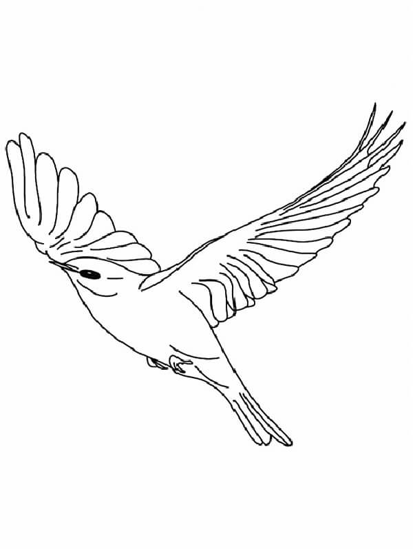 Desenhos de Voo de Pássaro Canário para colorir