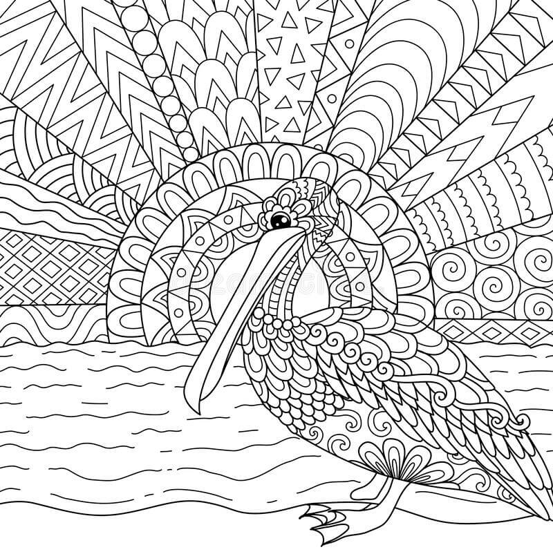 Desenhos de Linda Mandala Pelican para colorir