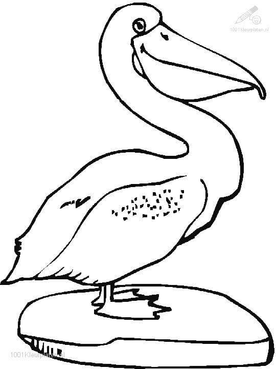 Desenhos de Mão Desenhar Pelicano para colorir