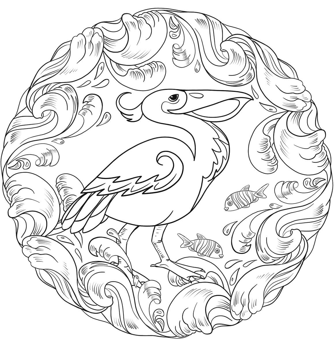 Desenhos de Pelican é para Adultos para colorir
