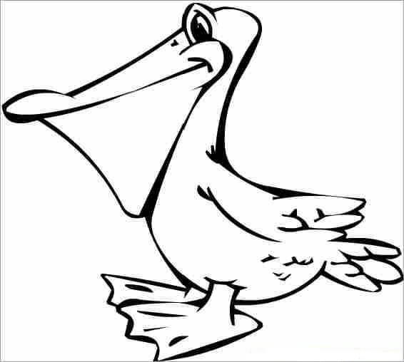 Desenhos de Pelicano Agradável para colorir