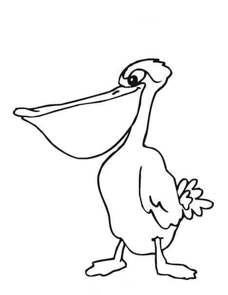Pelicano Básico para colorir