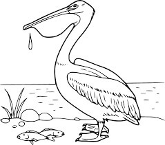 Pelicano e Dois Peixes para colorir