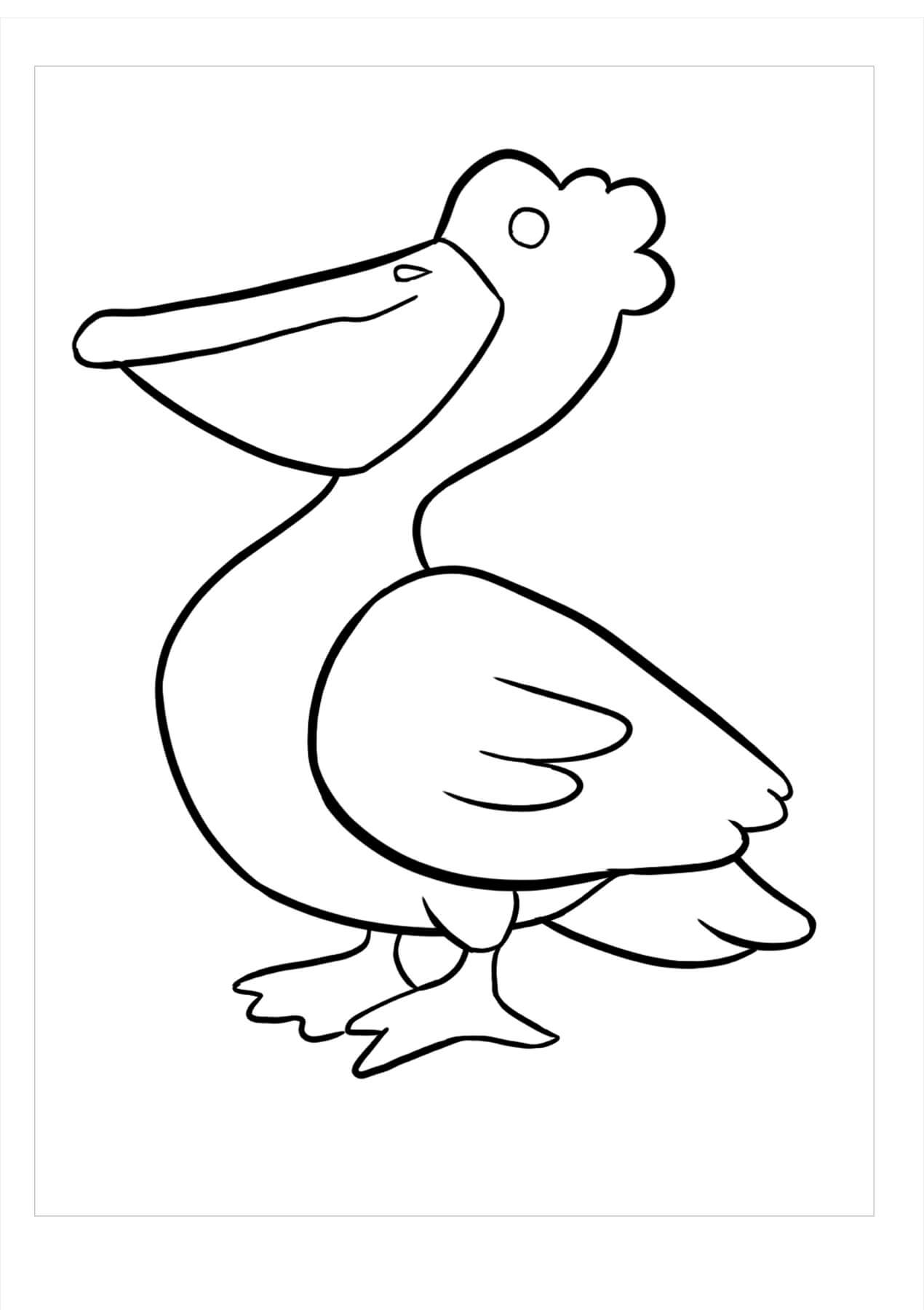 Pelicano Engraçado para colorir