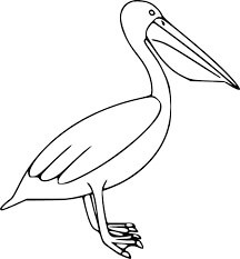 Pelicano Impressionante para colorir