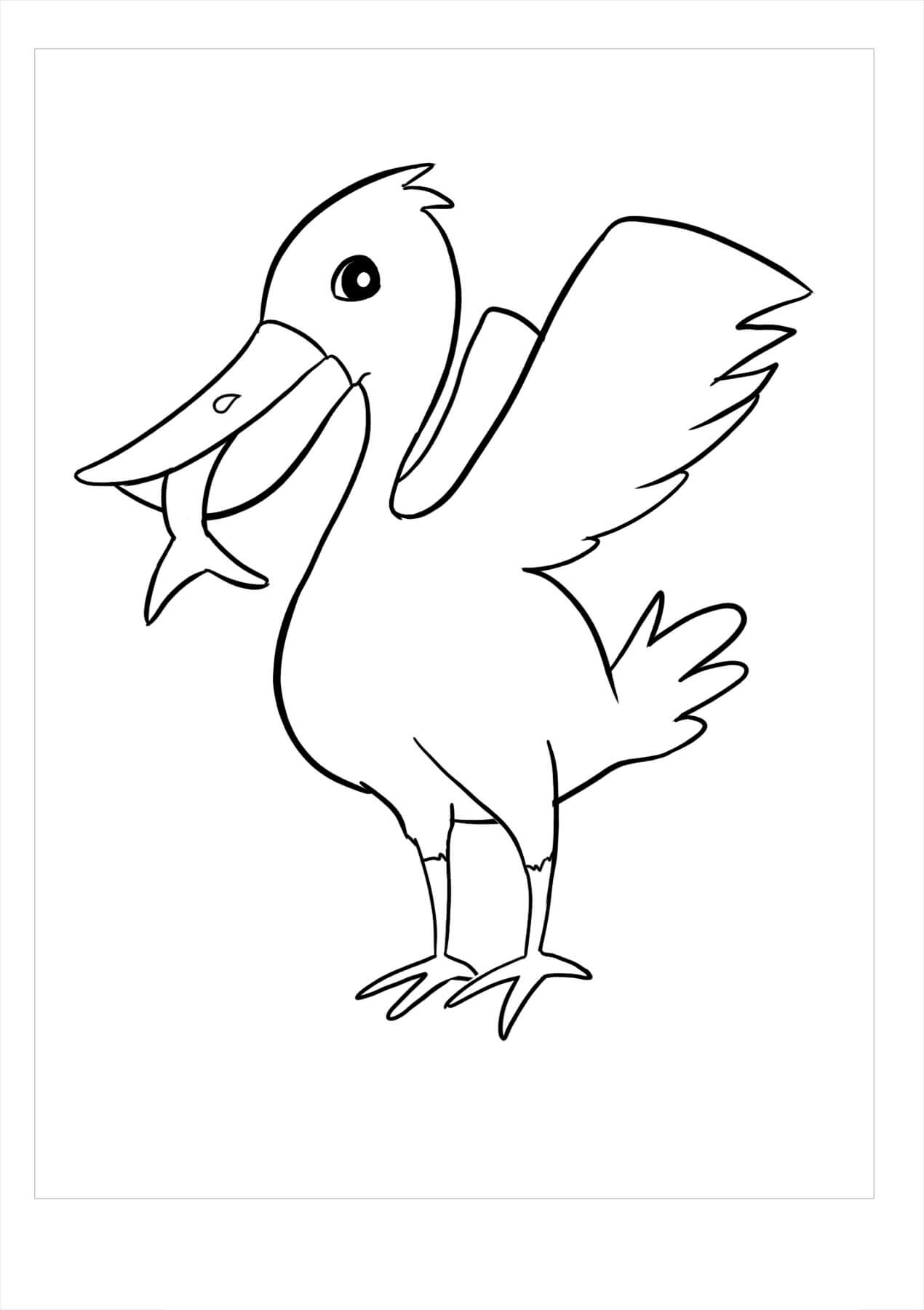 Pelicano Incrível para colorir