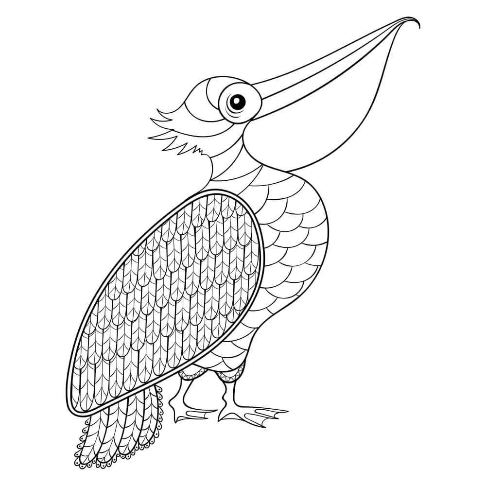 Desenhos de Pelicano para Colorir