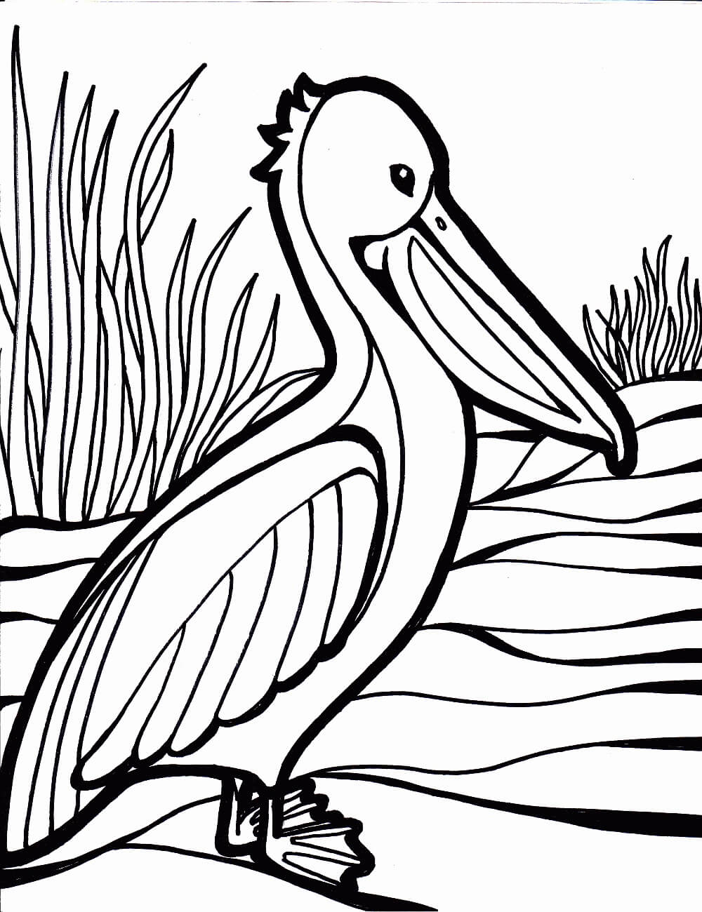 Desenhos de Pelicano Simples para colorir