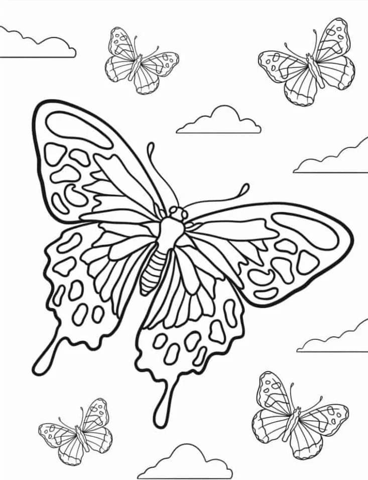 Desenhos de Desenhar borboleta fácil para colorir