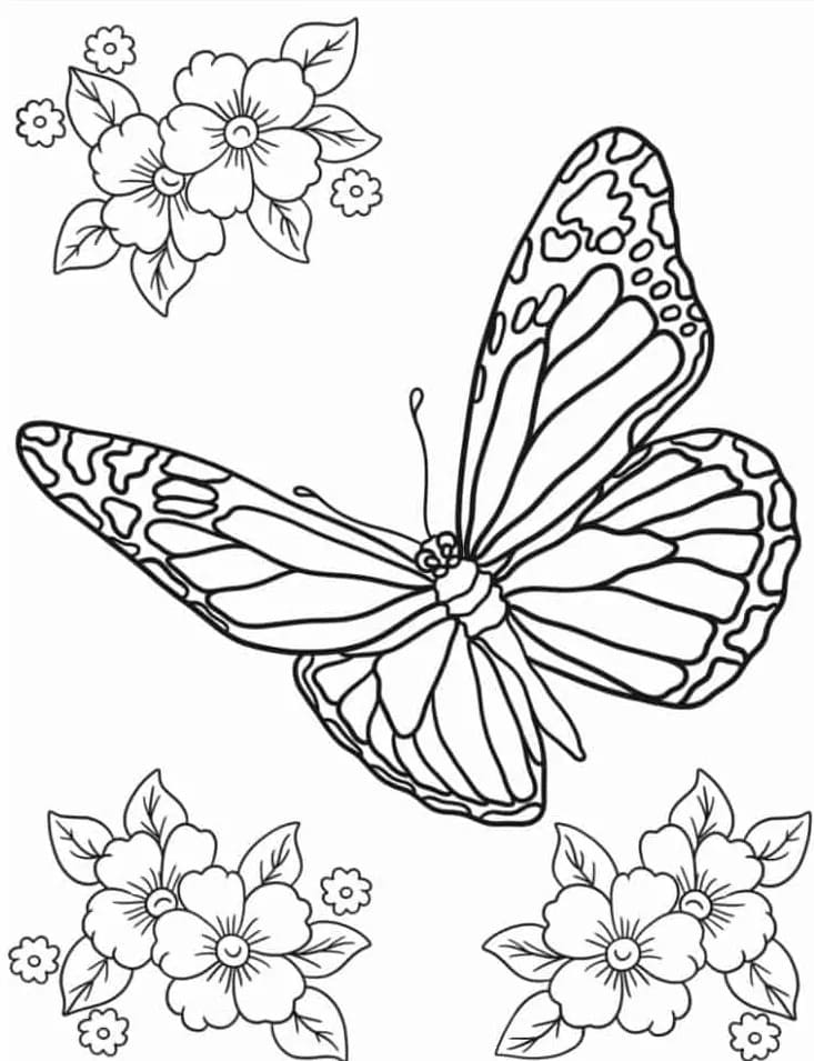 Desenhos de Desenhar borboleta grátis para colorir