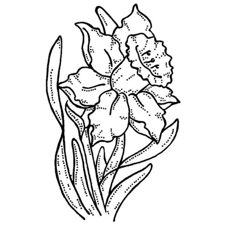 Desenhos de Narciso 1 para colorir