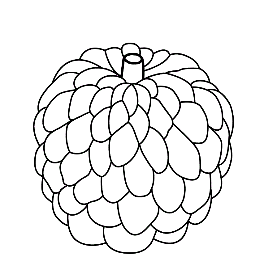 Desenhos de Cherimoya Básico para colorir