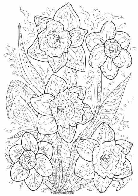 Desenhos de Doodle de Narciso para colorir