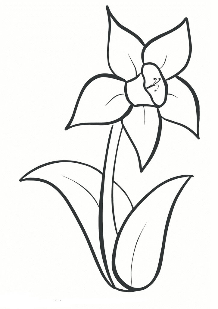 Desenhos de Lindo Narciso para colorir