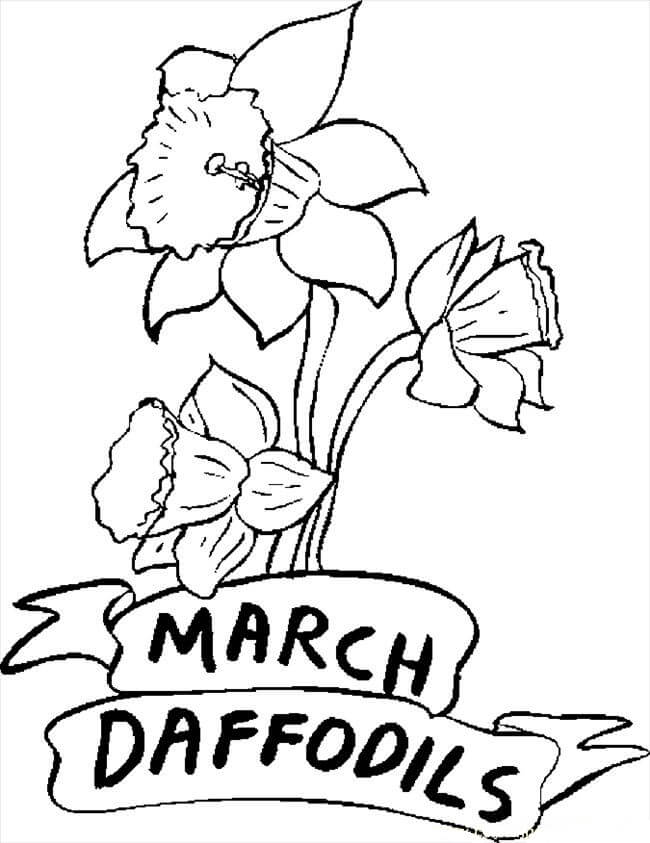 Desenhos de Narcisos de Março para colorir