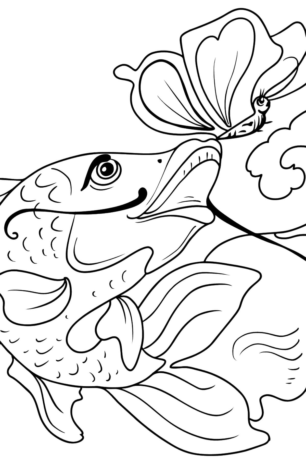 Peixe e Borboleta para colorir