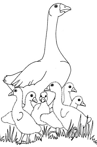 Mãe Ganso e seus Filhotes para colorir