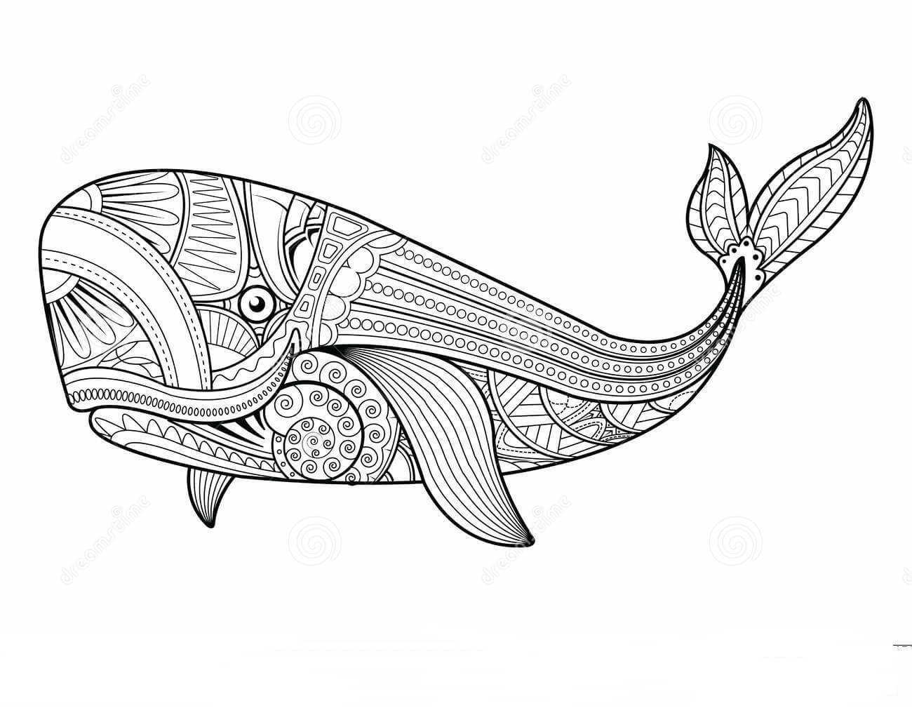 Baleia Bonita de Mandala para colorir