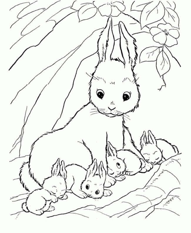 Desenhos de Coelhinha Adormecida e quatro Coelhinhos Bebê para colorir