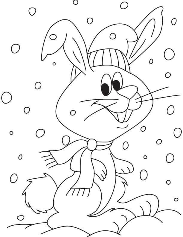 Desenhos de Coelho no Inverno para colorir