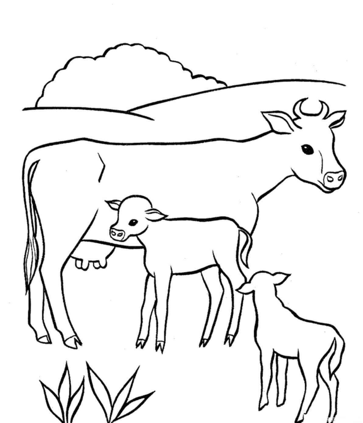 Desenhos de Mãe e Duas Vaca Bebê para colorir
