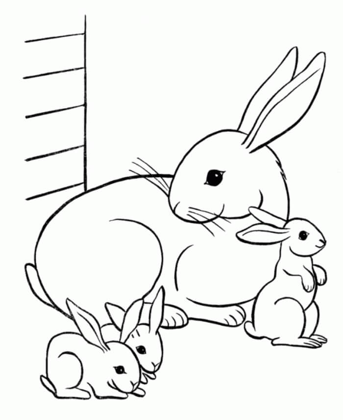 Mamãe Coelhinha e três Coelhinhos Bebês para colorir